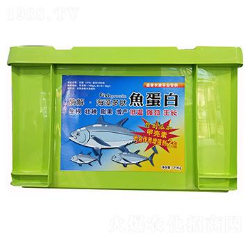 ø�⡤��������~����-����ʘI(y��)