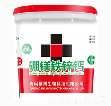 ���V�F�\�}-չ��