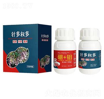 針多杈多-艾樂(lè)美