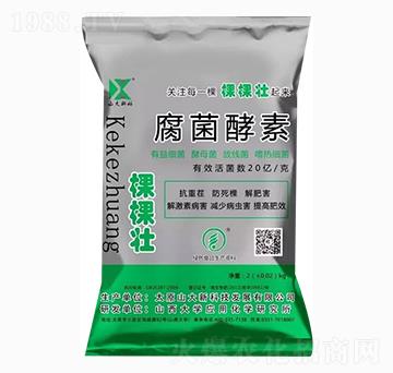 ��������-ɽ���¿�