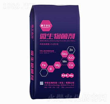 ΢�������-���S�r(n��ng)��-��Ͷ����