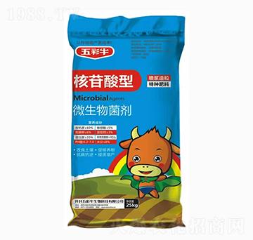 ��������΢�������-���ţ