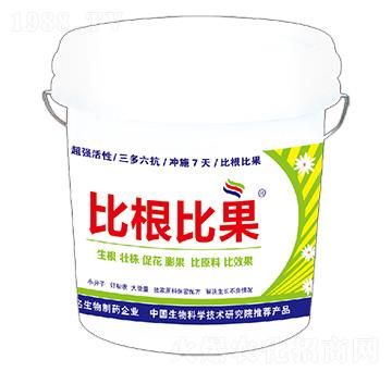 �ȸ��ȹ�-�º���