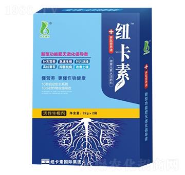 ������������32g��-���r(n��ng)�W��