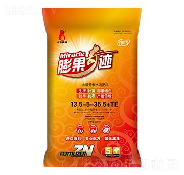 ������E13.5-5-35.5+TE-���r(n��ng)�W��