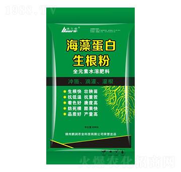 ���嵰��������-�i��(r��n)�r(n��ng)�I(y��)