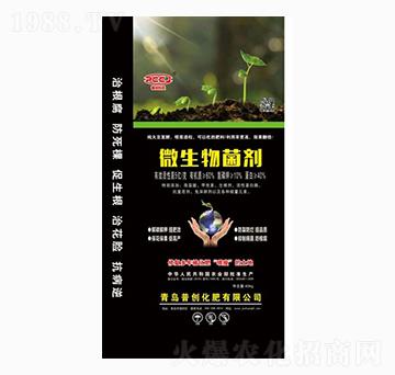 ���{����΢�������-�Մ�(chu��ng)