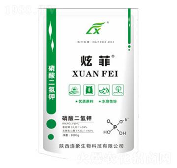 ��������-�ŷ�-�B������