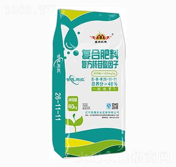 �ͺϷ���26-11-11-ʢ���P��