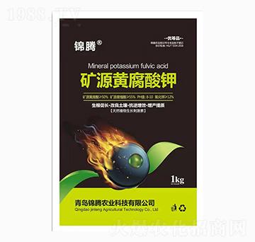 �VԴ�S�����-�\�v�r(n��ng)�I(y��)