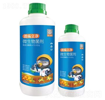 ΢�������-��������-ϲ����