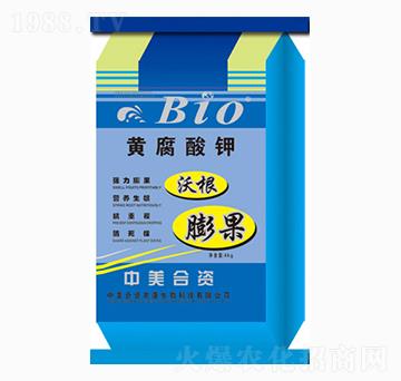 �S�����-�r������