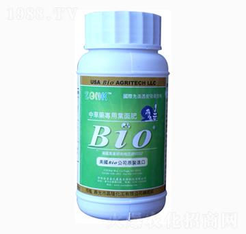 �в�ˎ�����~���-�r������