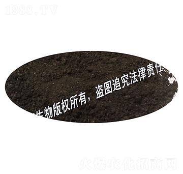 �ЙC�ʷۄ�-�{������