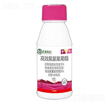 5%��Ч�ȷ������-ǧ��-�з�����