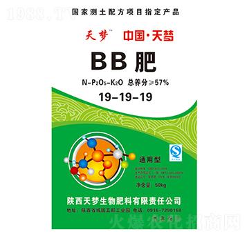 ͨ����BB��19-19-19-���