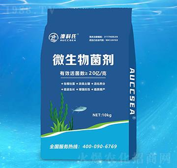 10kg΢�������-�Ŀ���