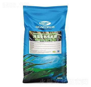 ���������ЙC��-�G�ز���