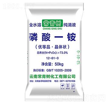 73%工業(yè)一銨-常青樹(shù)化工