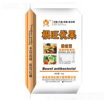 ������(y��u)��-��������