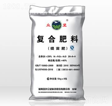 ���݌��������-����