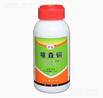 20%��ɭ�~-�|�L����