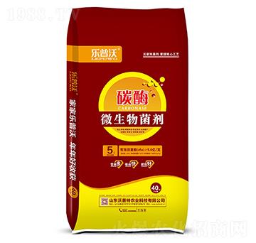 5�|̼ø��΢�������-������