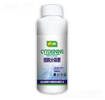 ����������-�������