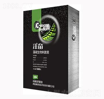 海藻生物刺激素-洋奮-鯨靈