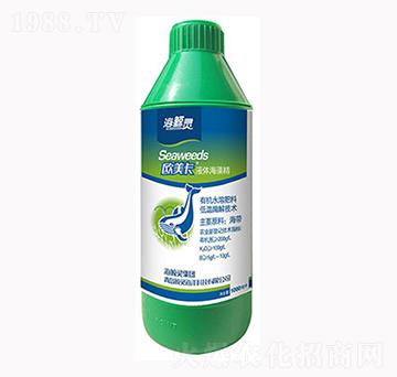 海藻精-歐美卡-鯨靈