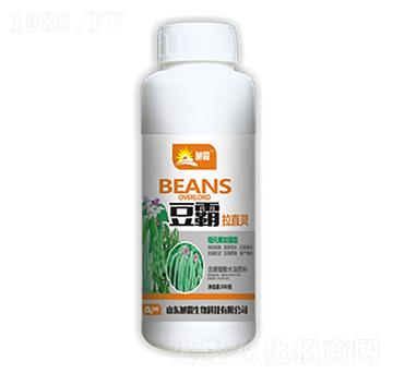 ������ֱ�`-�������