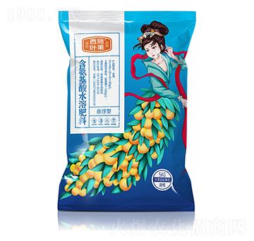 �Ҹ��ͺ�������ˮ�ܷ���-��ʩ�~��-�~������