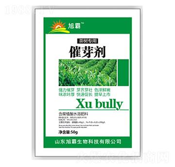 ��ѿ��-�������