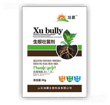 �������焩-�������