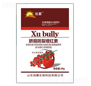 Ě���������t��-�������