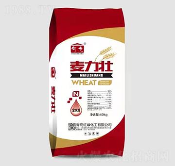 �tɫ���b������-�t�׻���