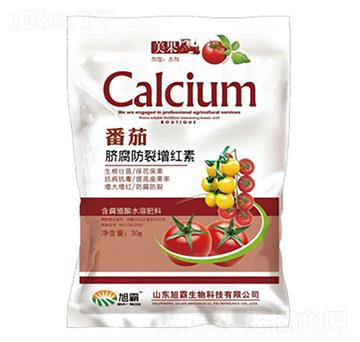 ����Ě���������t��-�������