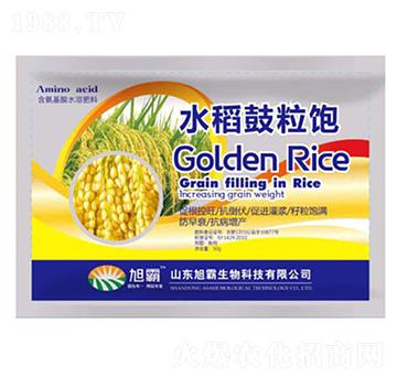 ˮ�������-�������