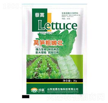 �n�S���ۉ�-�������