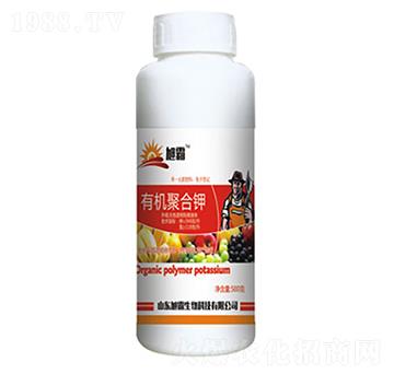 �ЙC�ۺ��-�������