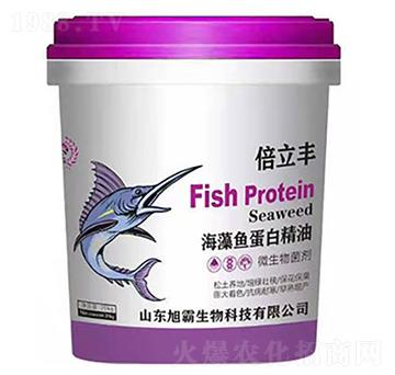 �����~���׾���-�������