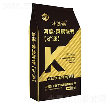 �~�}ͨ-�S����⛣�̼��-���컯