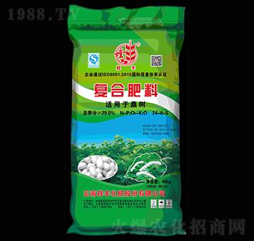 ɣ���m�Ï�(f��)�Ϸ���24-0-5-��S-���S���F(tu��n)