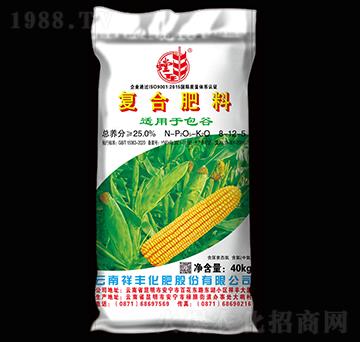 �����m�Ï�(f��)�Ϸ���8-12-5-��S-���S���F(tu��n)