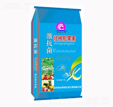 �������Ѹ������-��������