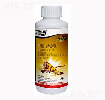 6%�׾S�����-���(l��)-������