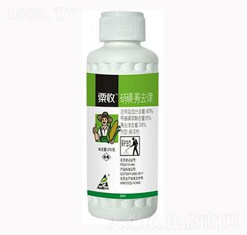 ����ݬȥ��-����-������