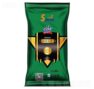 ���@����-ʩ�ؼ�-������