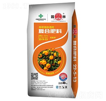 �����m�ÏͺϷ���22-5-13-�@��-������