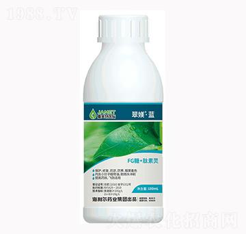 FG��+�����`-��Z���{(l��n)-�W��˹